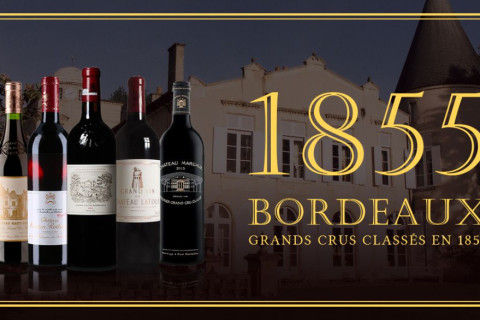 Hệ Thống Phân Loại Rượu Vang Bordeaux 1855 Tại Médoc