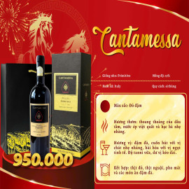 Rượu Vang Ý Cantamessa Primitivo