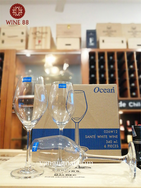 Bộ Ly Rượu Vang Ocean Thái Lan 340 ml